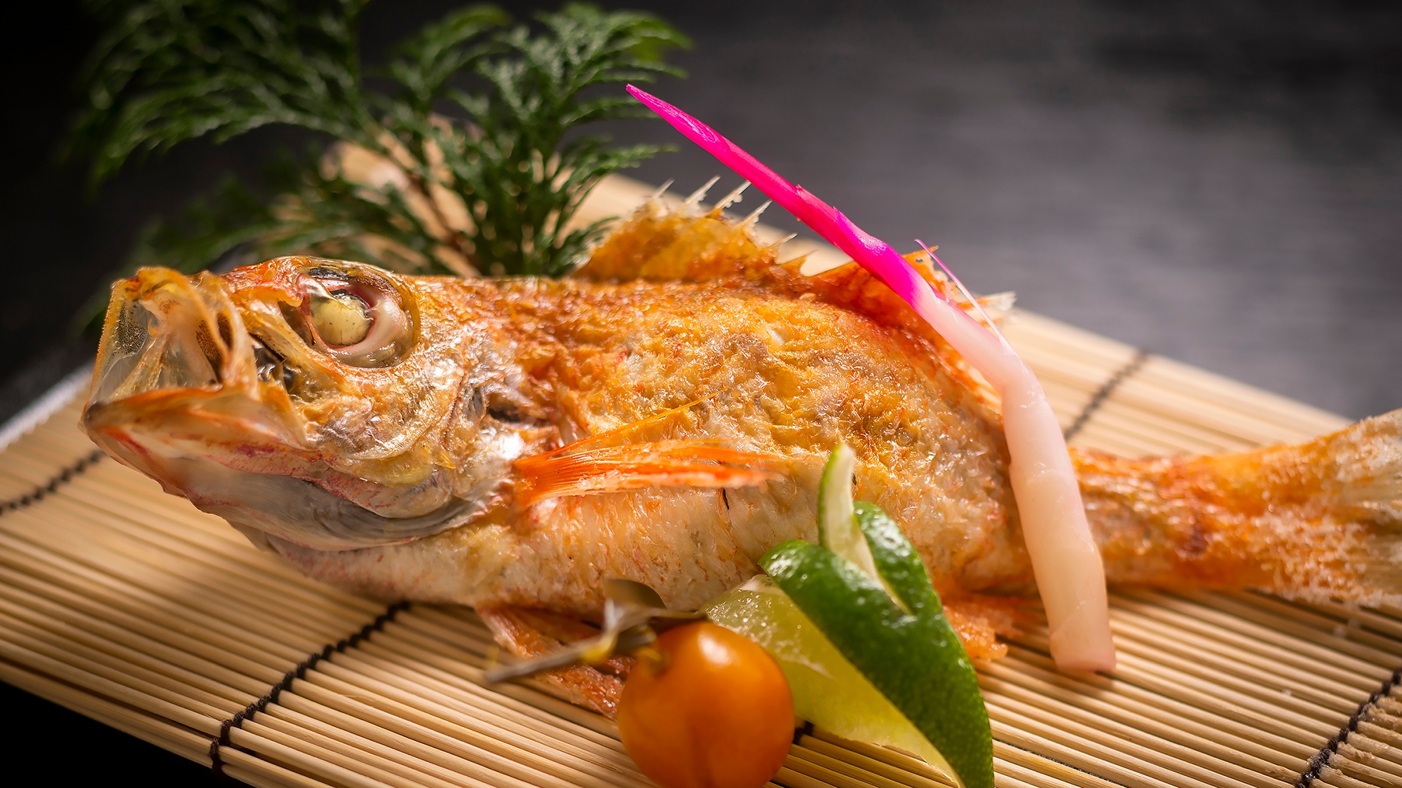 [Seasonal delicacy] [Grilled salted blackthroat seaperch]