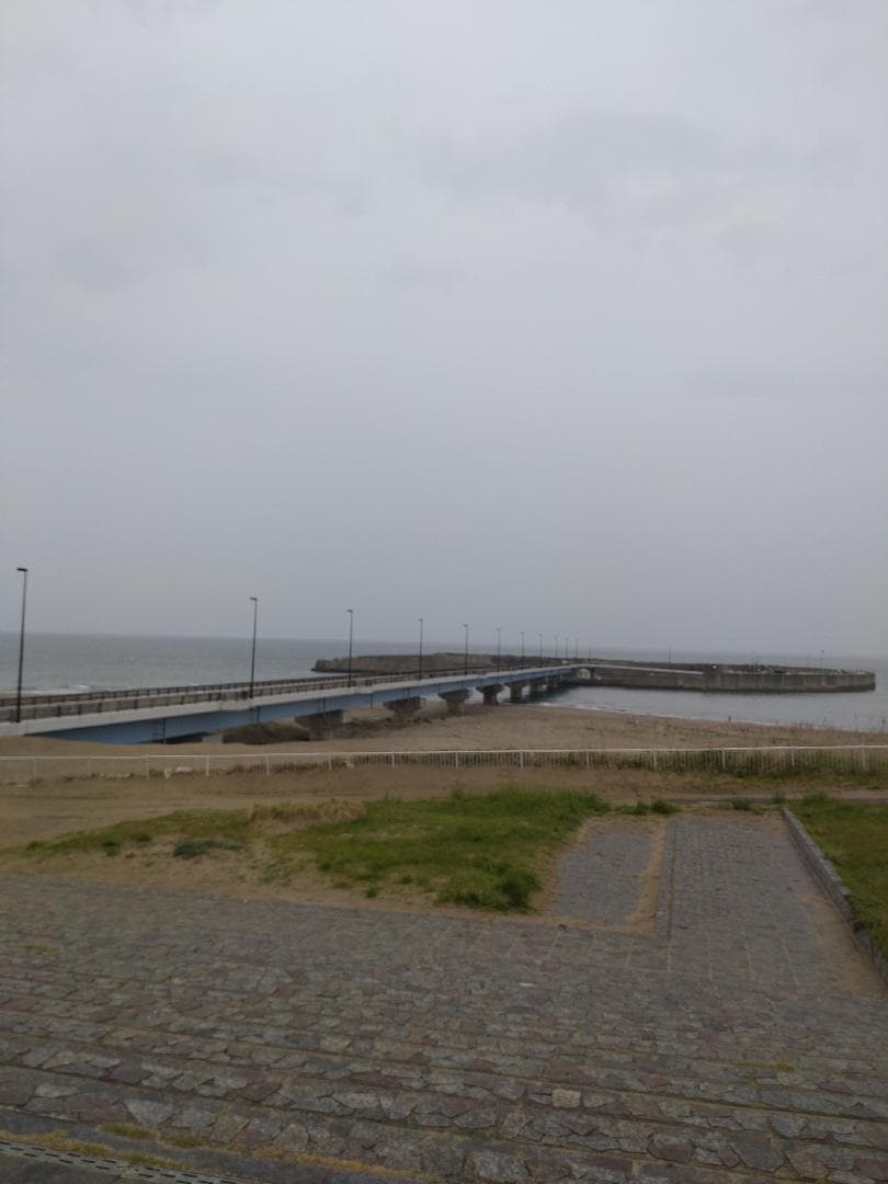 DSC_1423.JPG