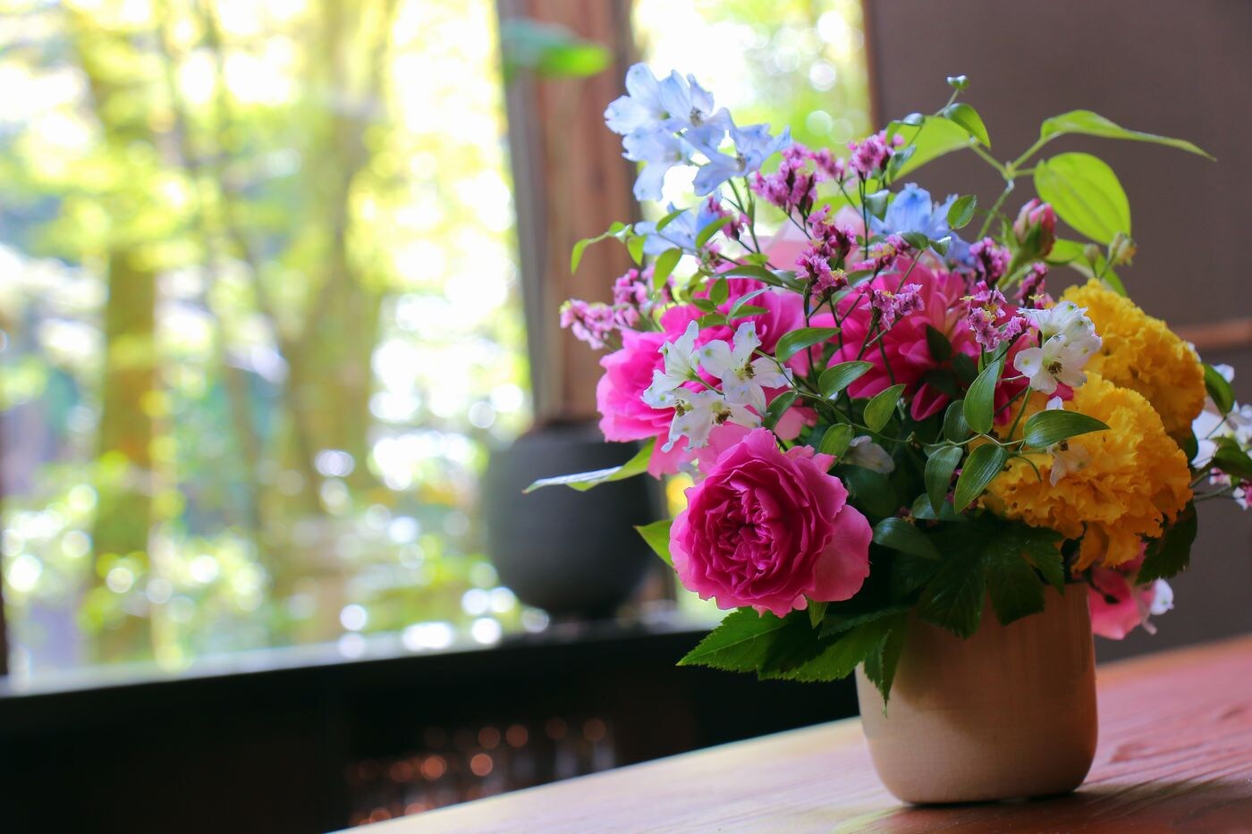 Mother's Day Special Plan