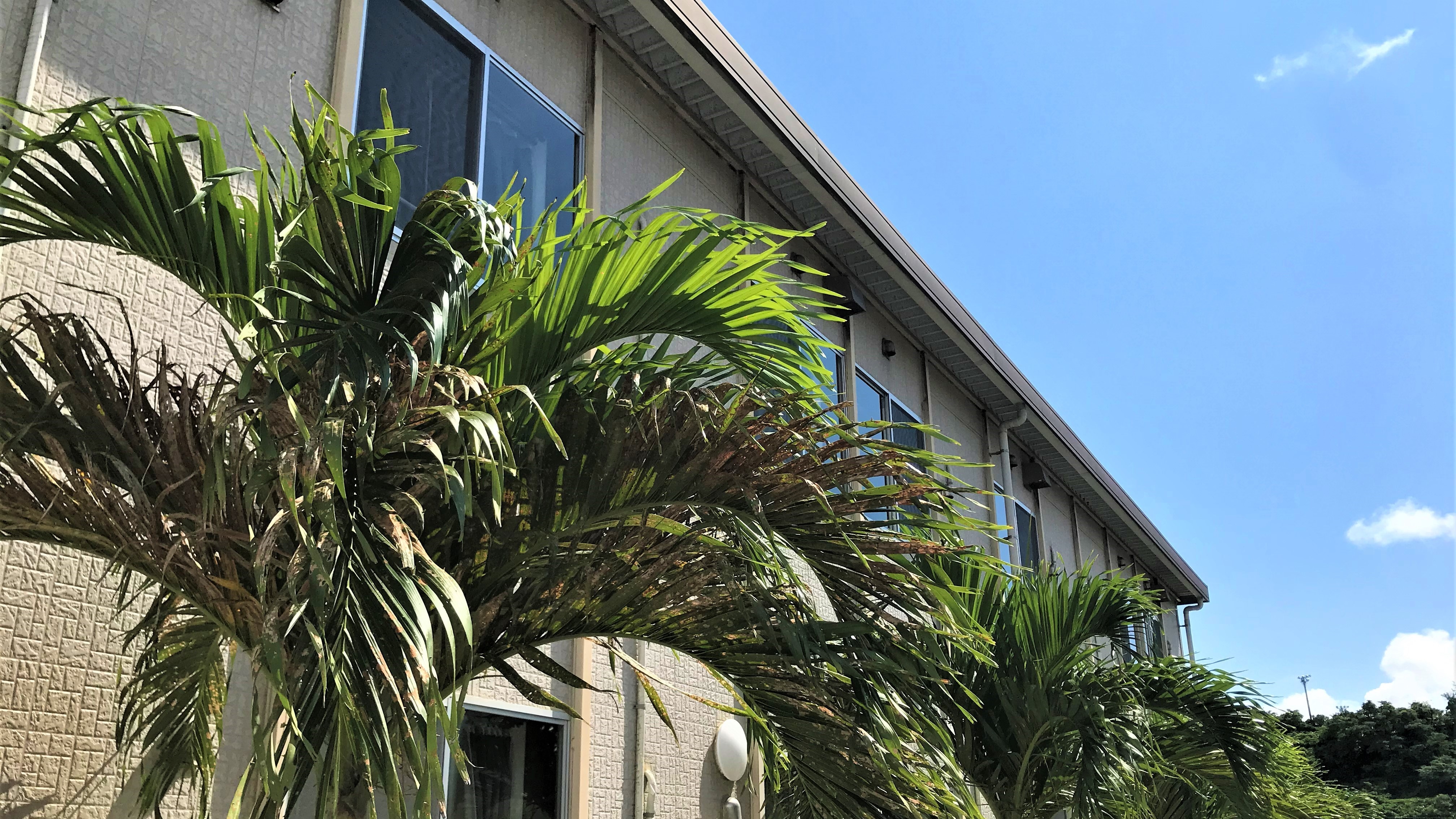 ◇对于想以合理的价格住宿的客人，这是一个值得推荐的设施。