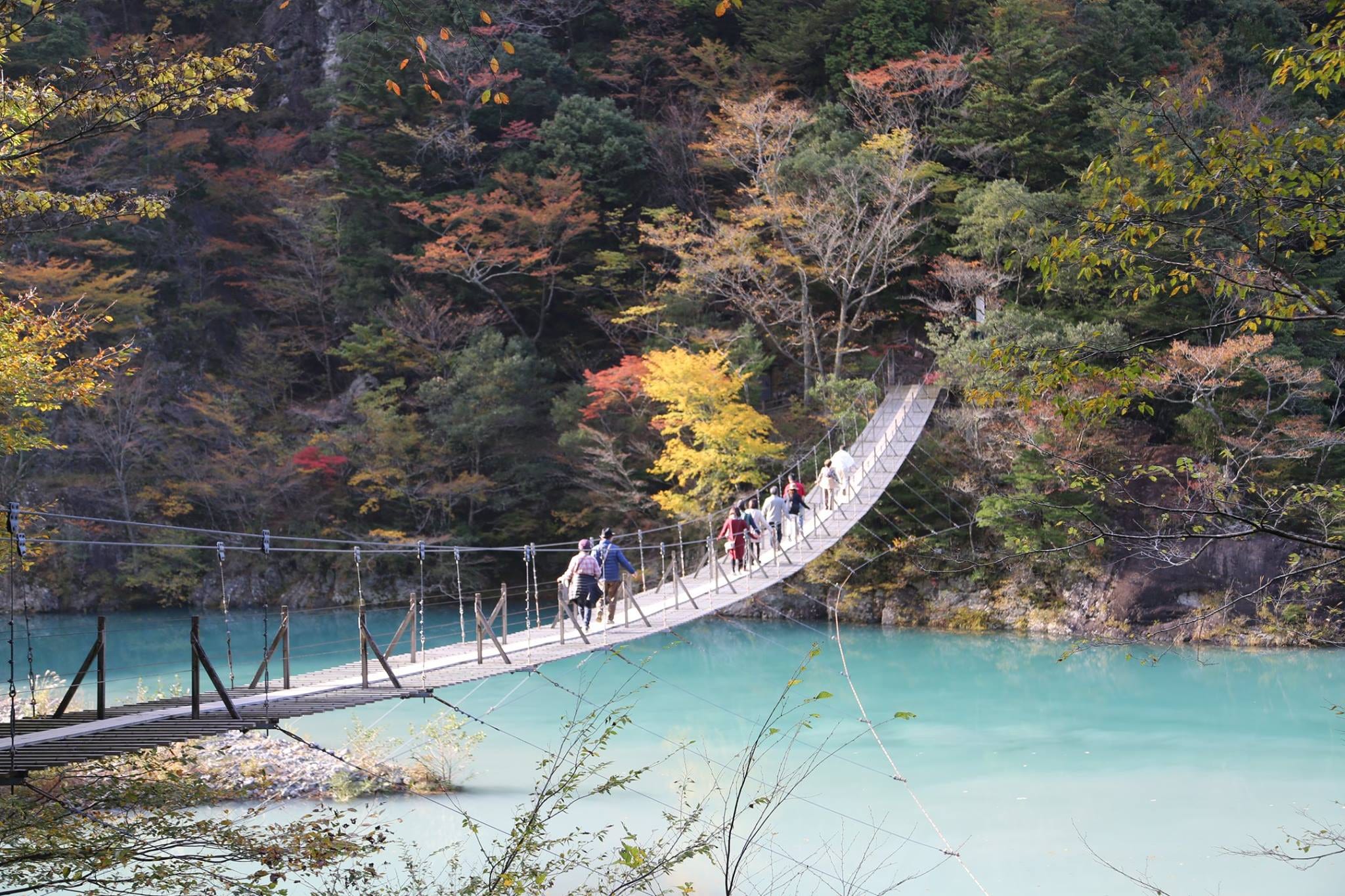 Dream Fishing Bridge: Sumatakyo Gorge