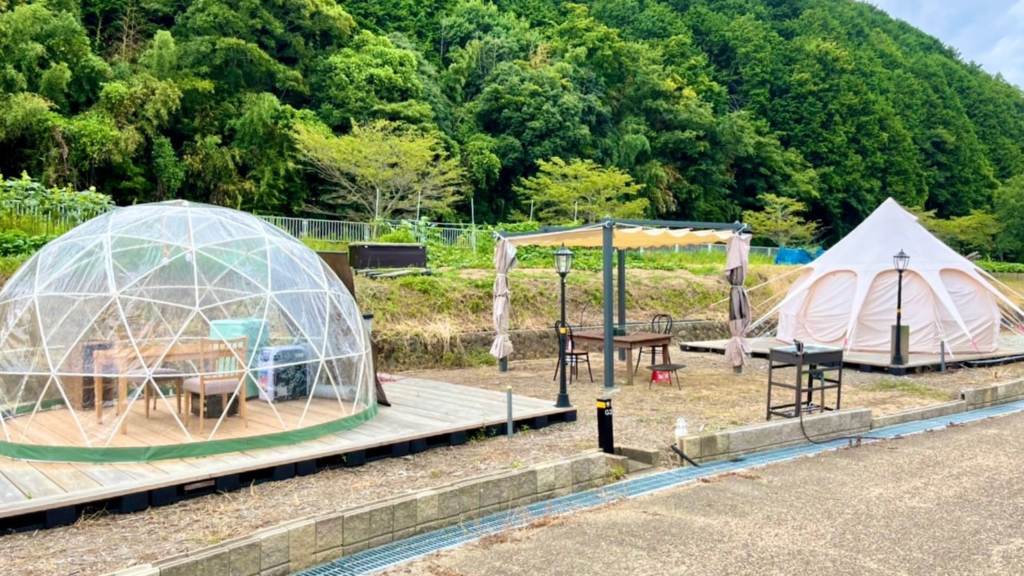 Tenda Lonceng Lotus 4m (maksimal 2 orang) Anjing diperbolehkan