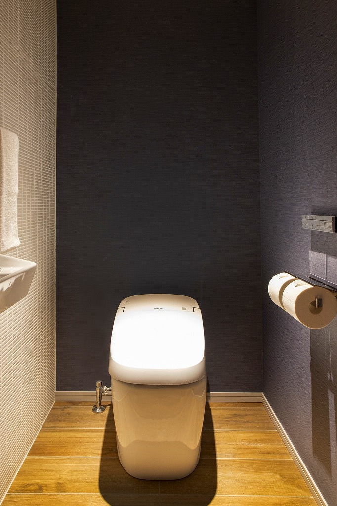 toilet