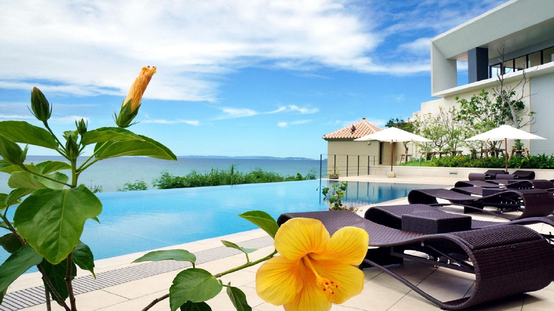 Infinity pool 2