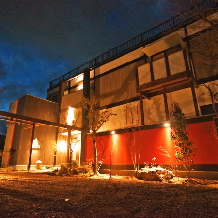 Appearance image