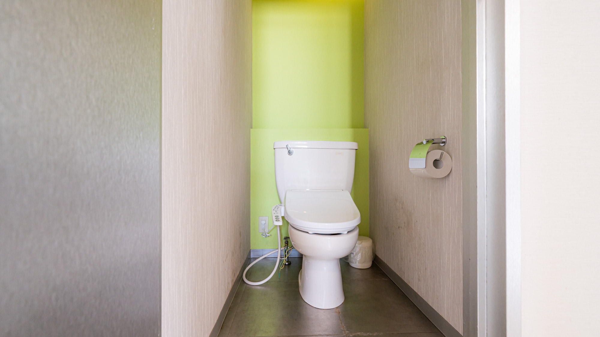 Family room toilet