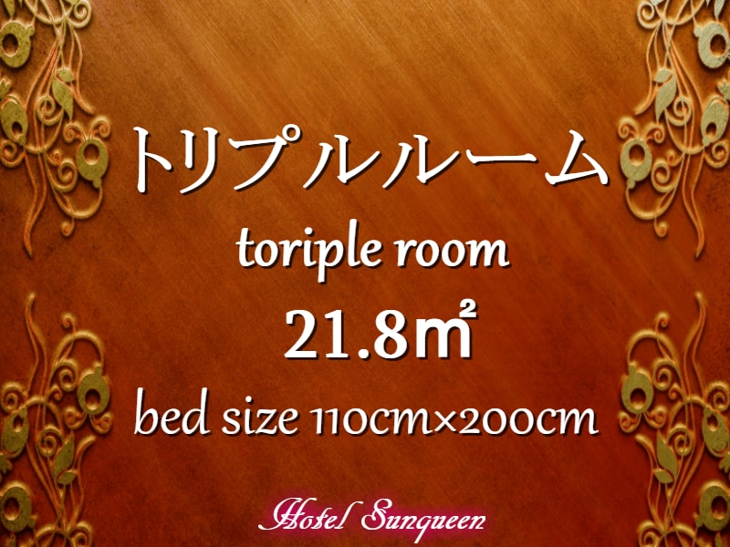 Triple 21.8㎡