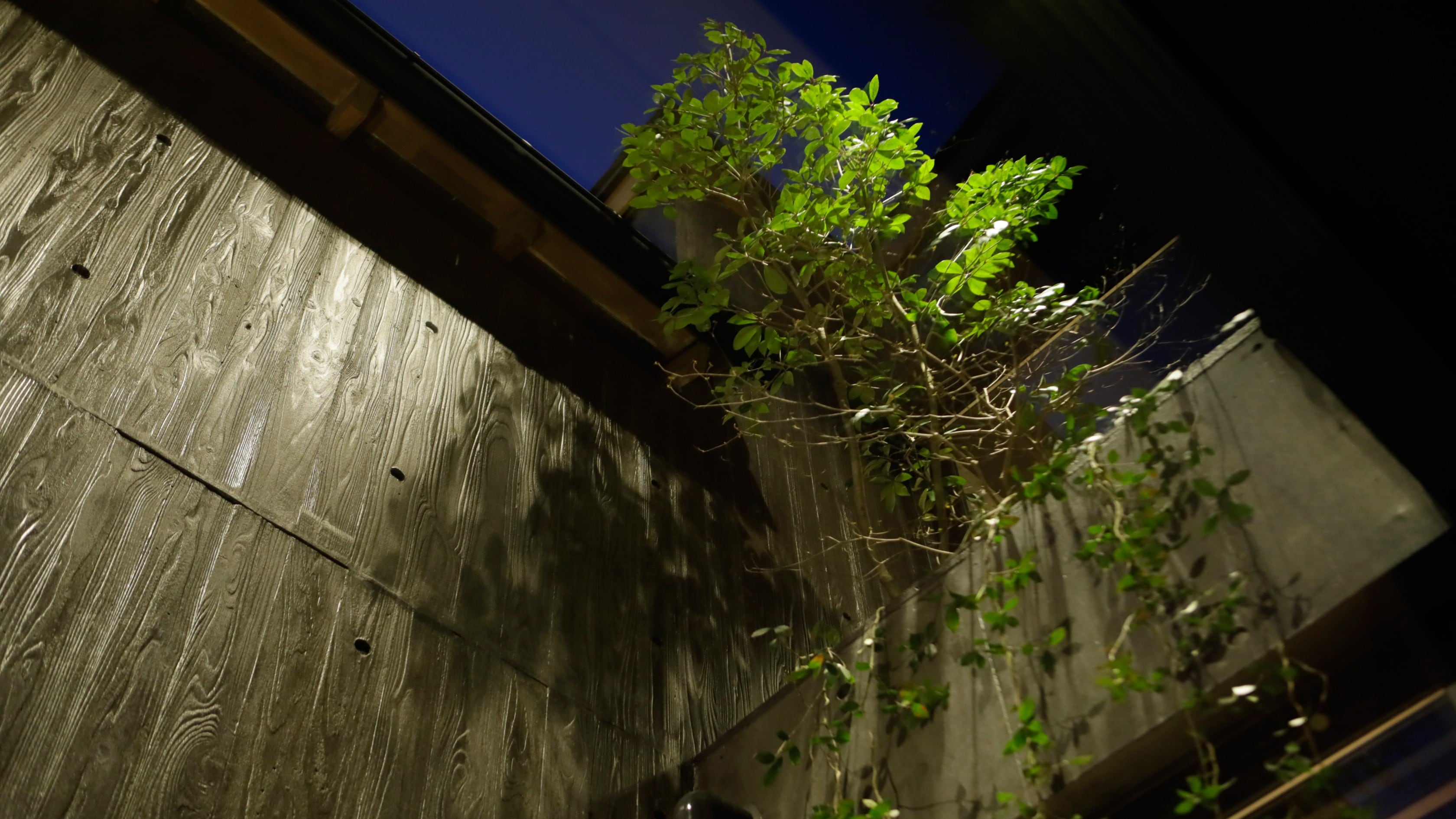อาคารใหม่ 204: ห้องจูเนียร์สวีทวิวสวนพร้อมห้องเสื่อทาทามิ