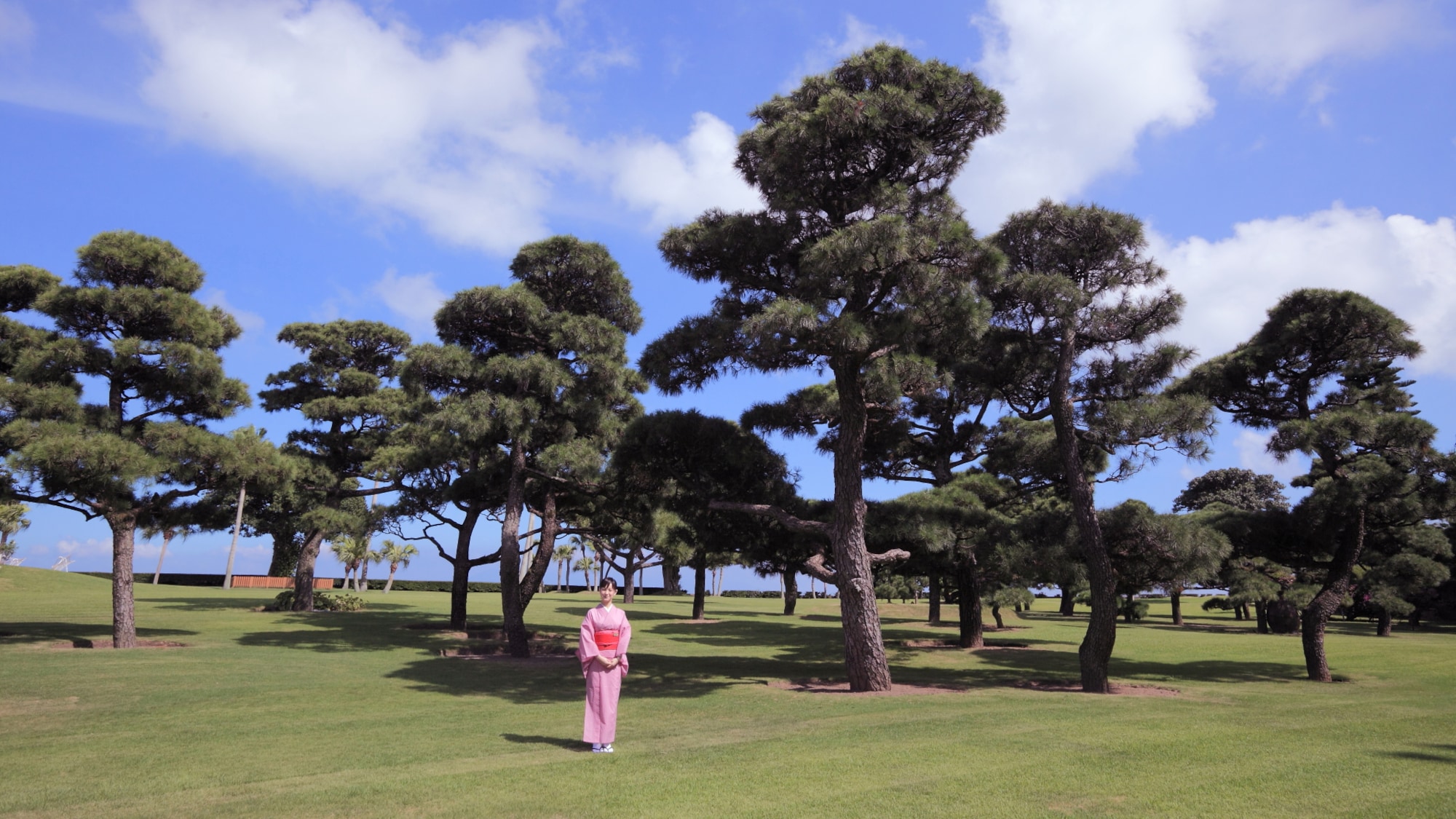 View of Toyomatsu garden