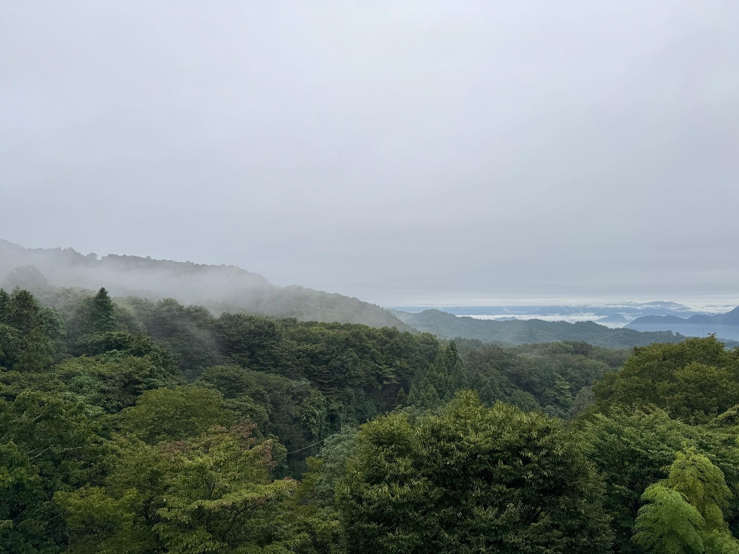 6070D88B-0674-4C51-B74B-F3CC10F2998E.jpeg