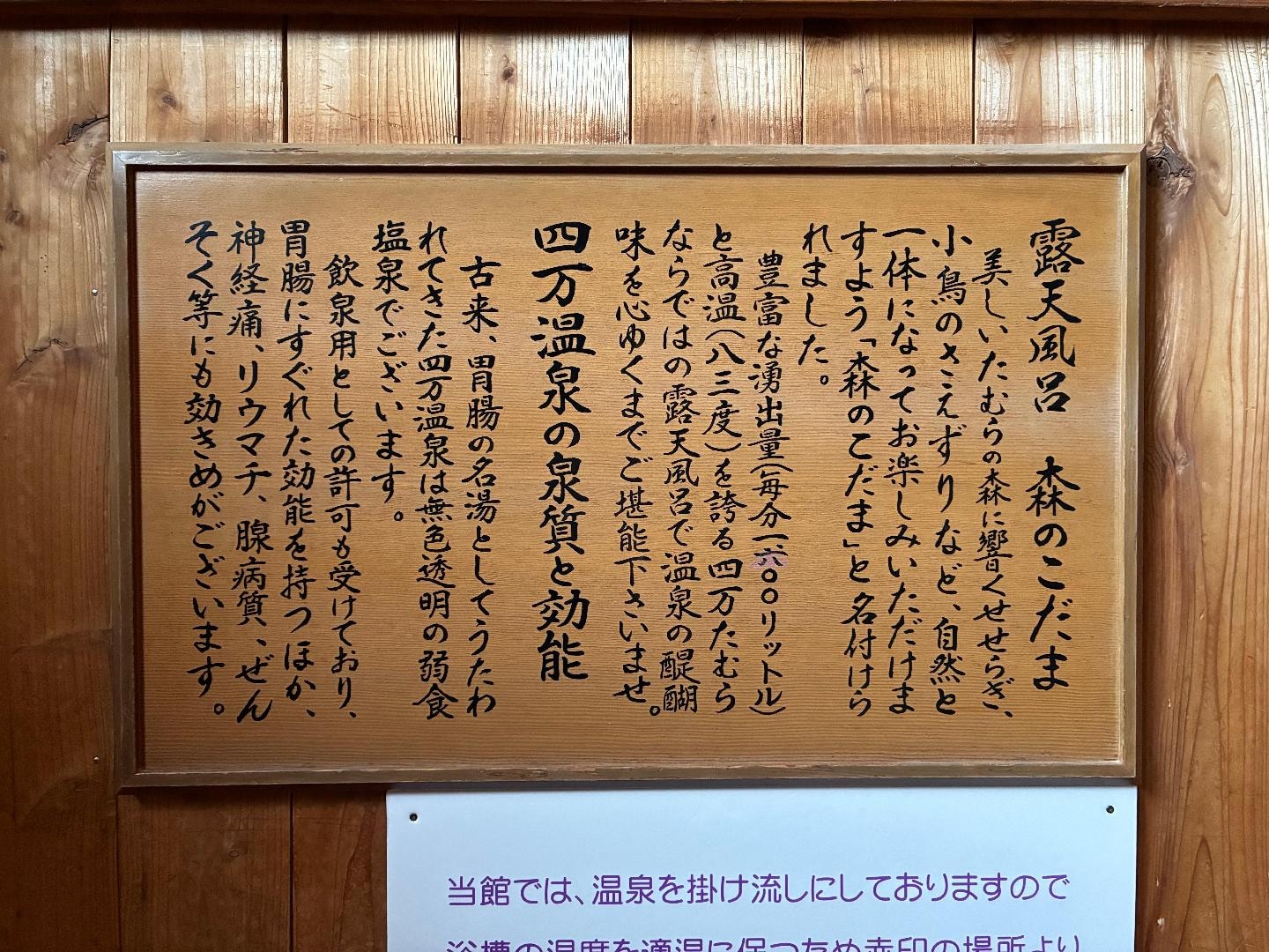 672E1029-58B5-433A-BAE0-AD8C8B7030F6.jpeg