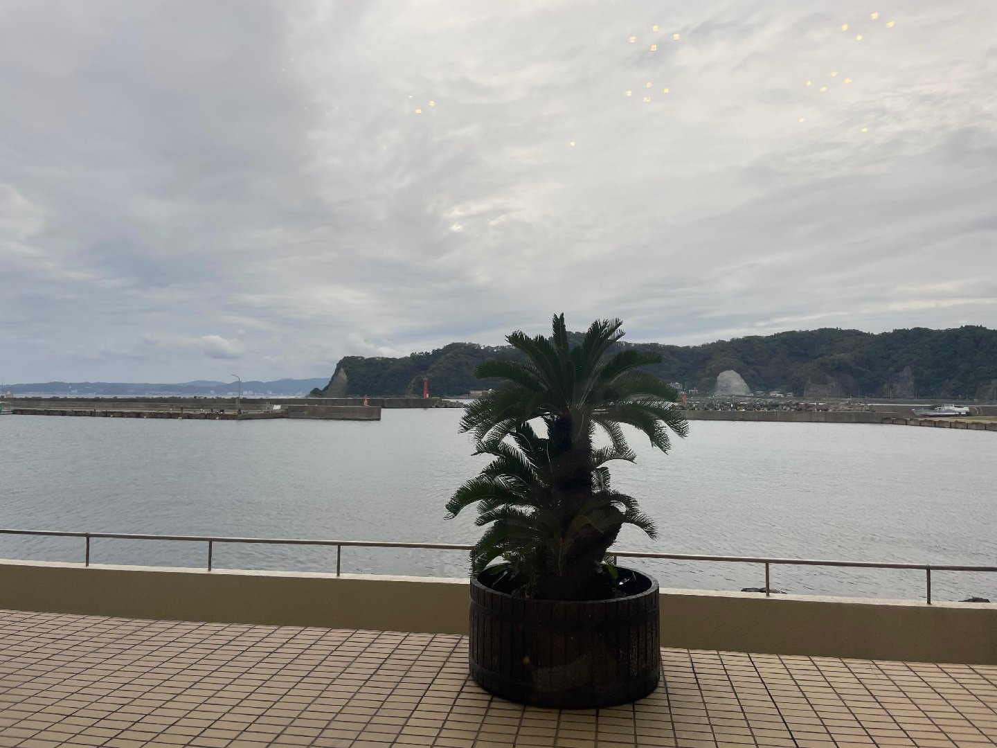 IMG_8310.jpeg