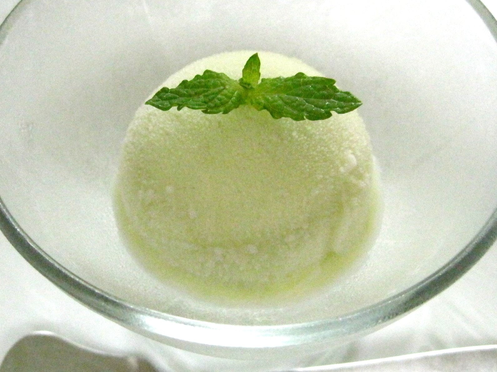 Homemade melon ice cream