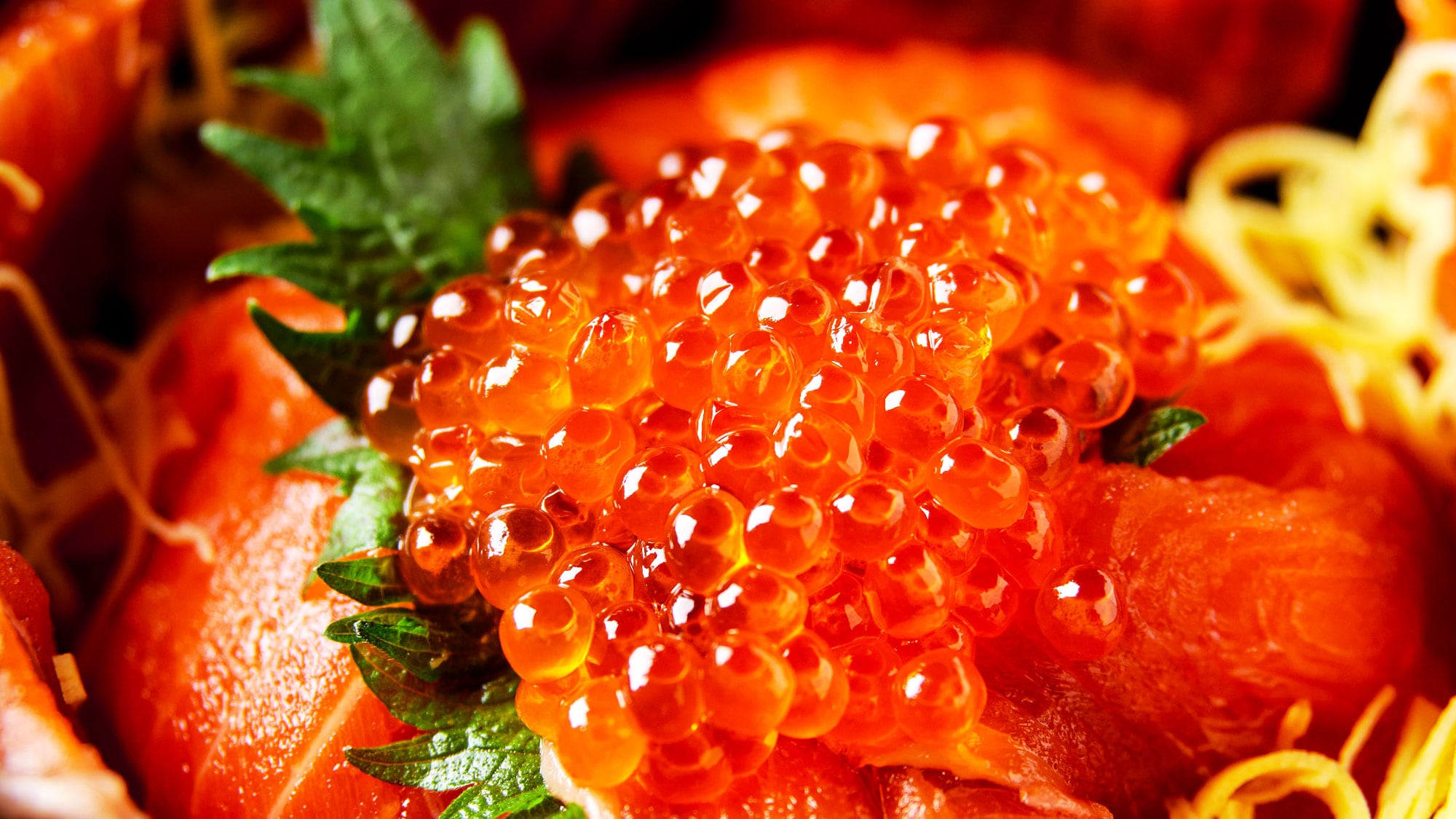 [Kaisendon Tokorono] ชามปลาเทราต์ยาชิโอะที่ทำจากปลาเทราต์ยาชิโอะคุณภาพสูงและมีไขมันในปริมาณมากจากจังหวัดโทจิกิ