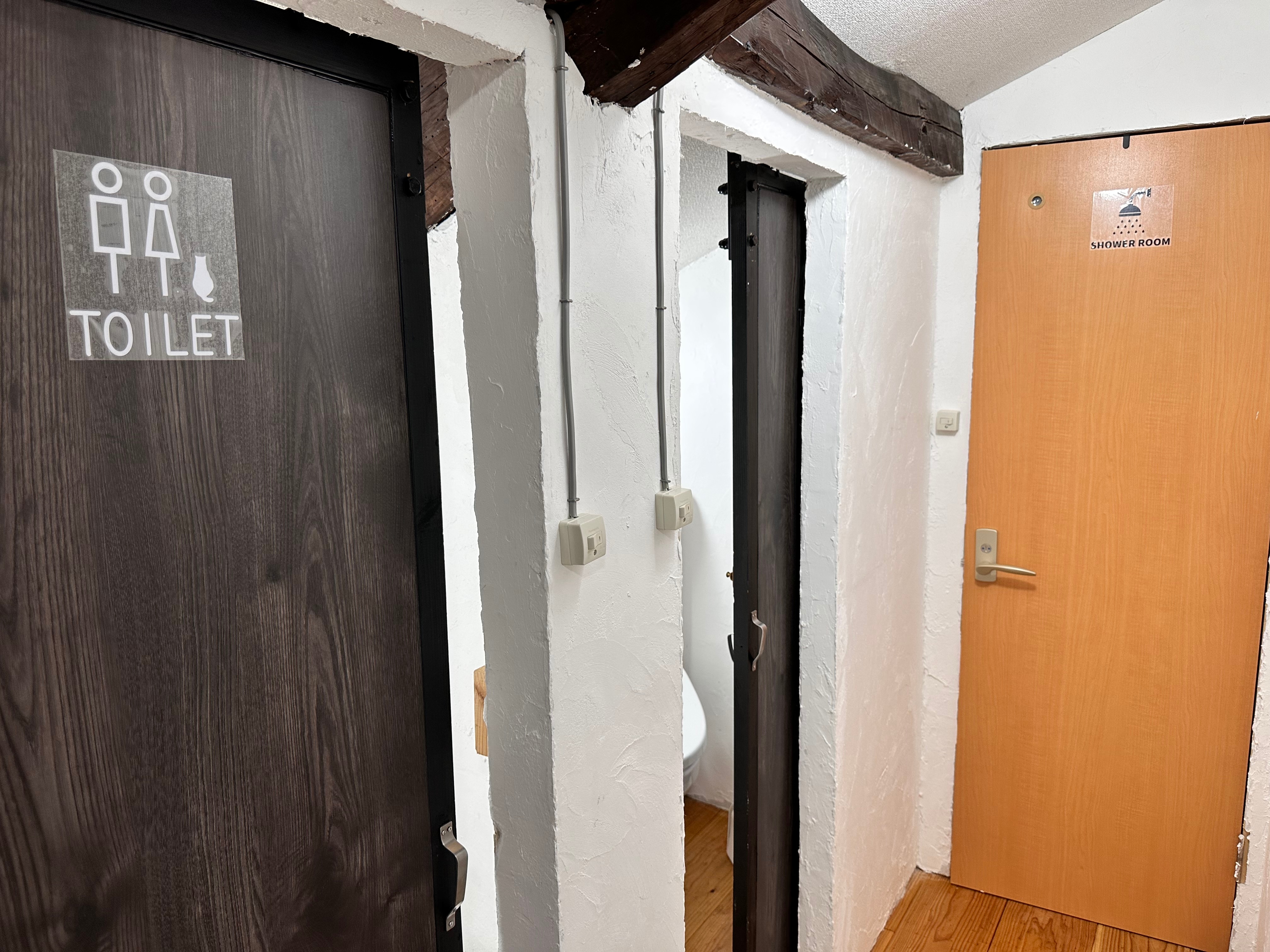 Shower room and toilet