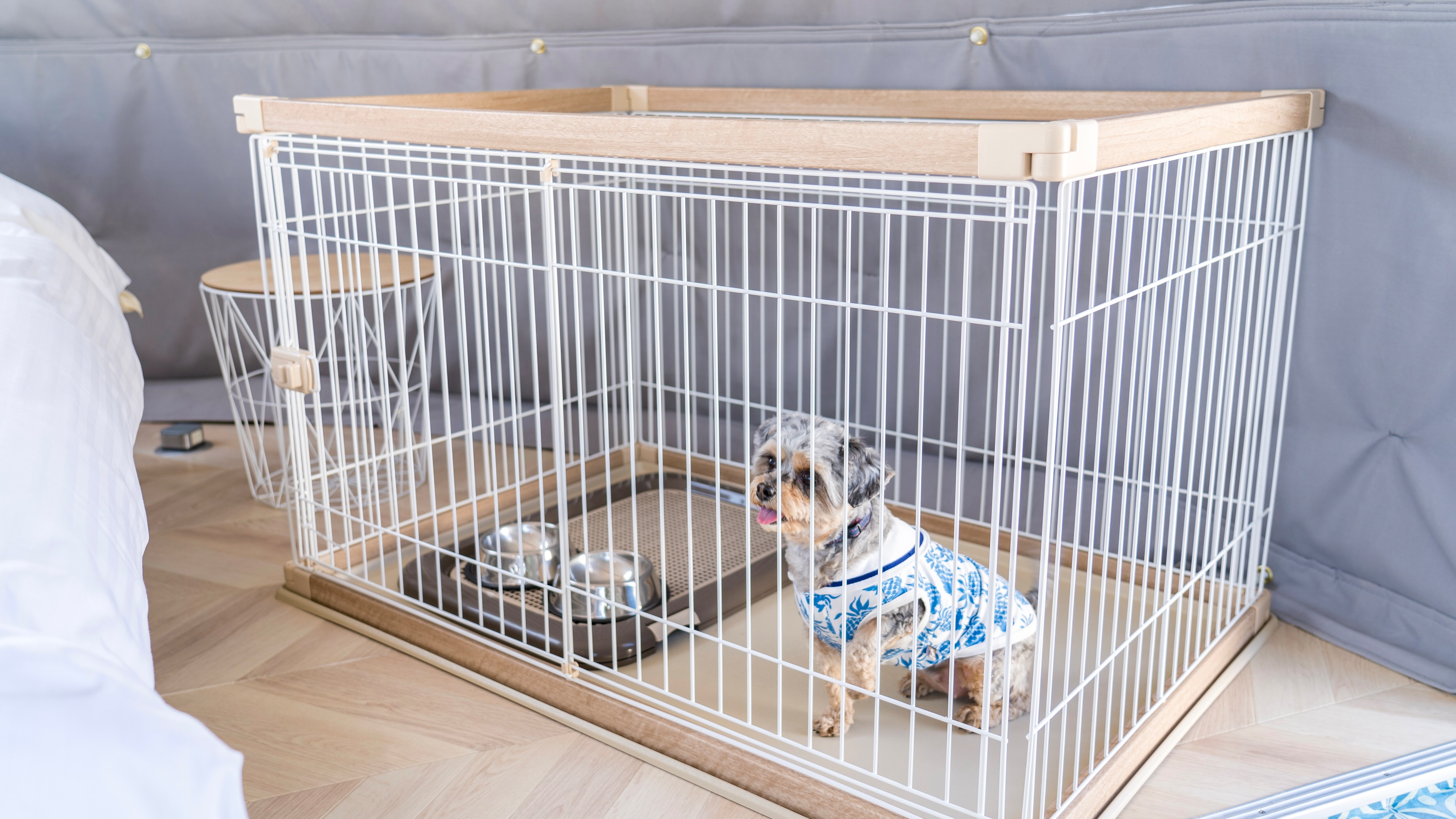 Pet Dome Tent