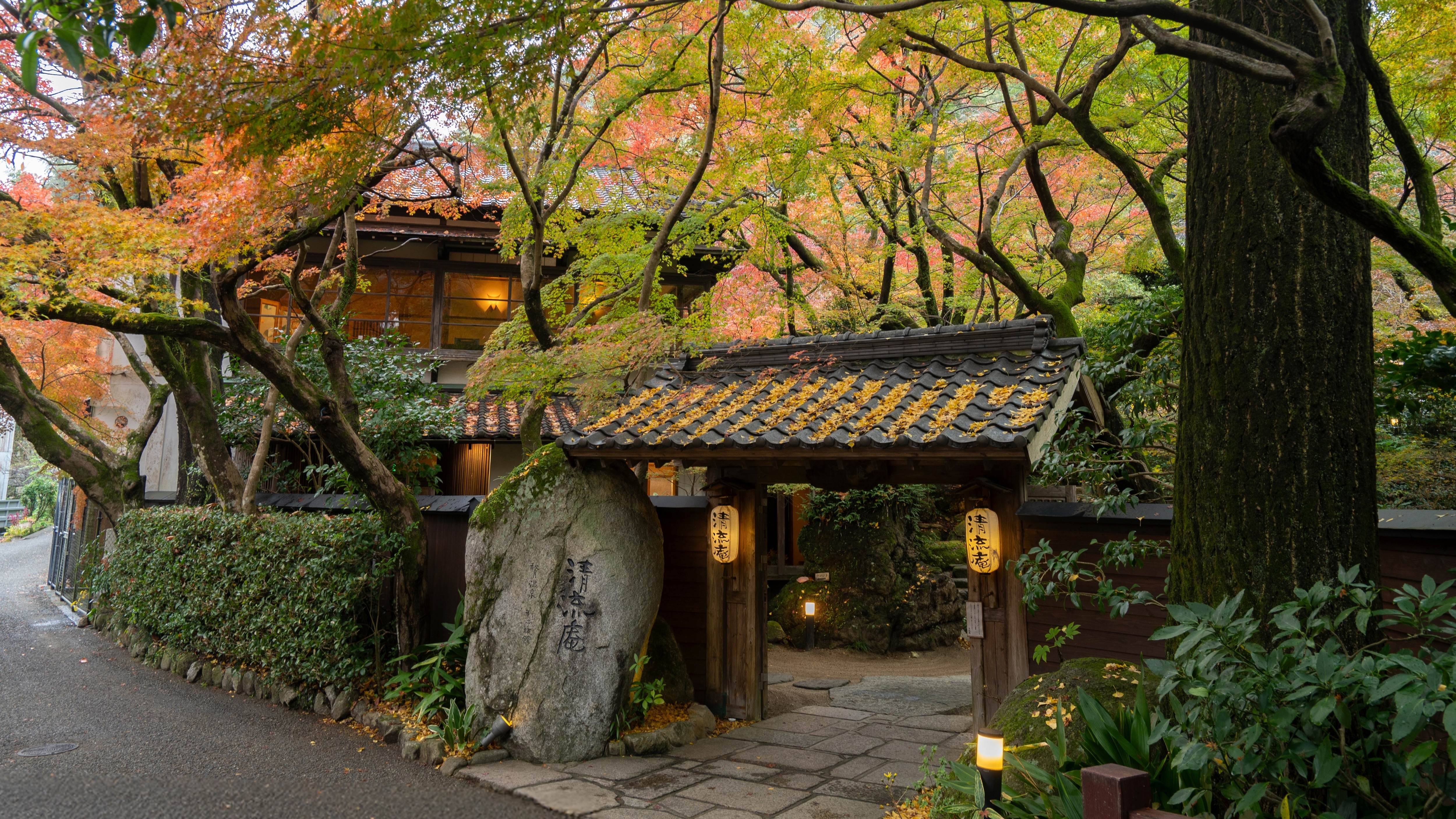 [Main Entrance] Autumn