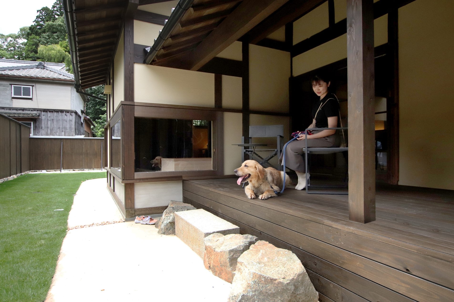 OZU_Pet 3