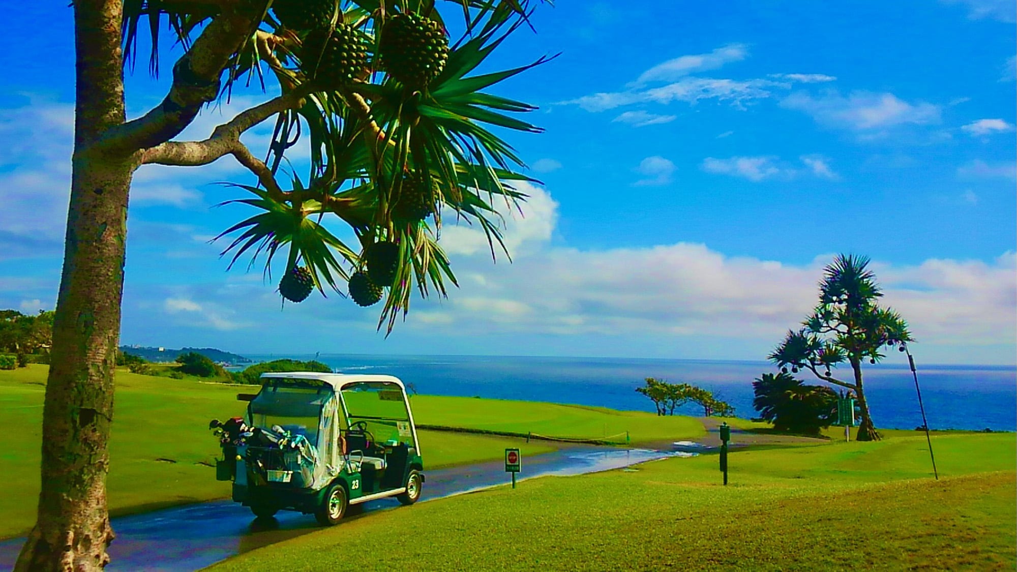 Kế hoạch chơi Golf