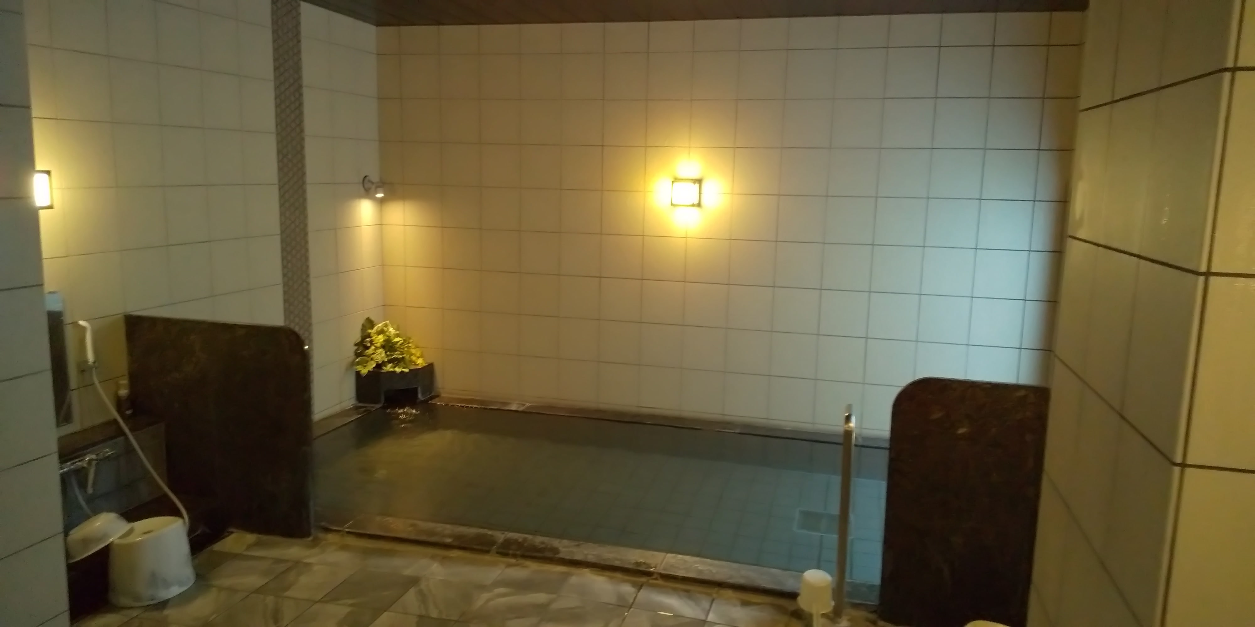 Women's public bath tub