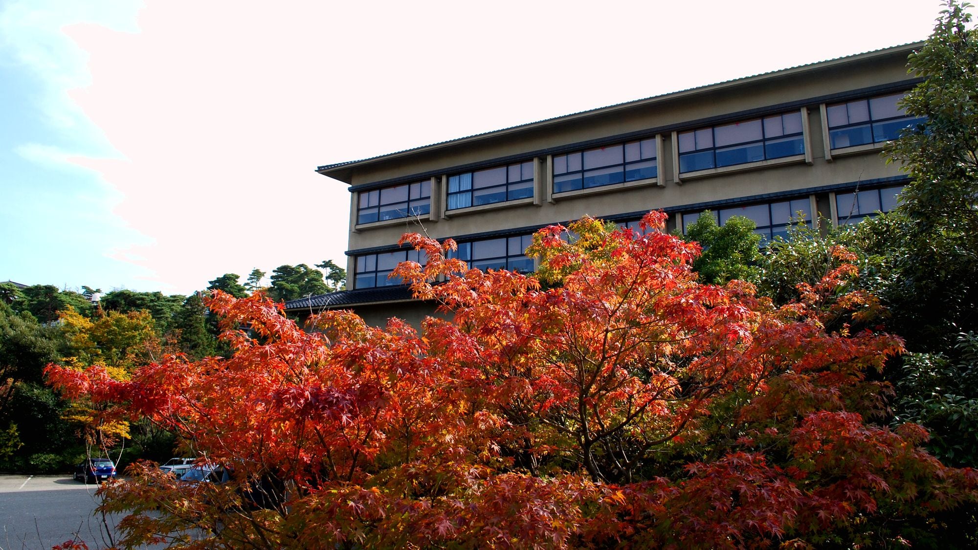 ★ Appearance (Autumn appearance image)