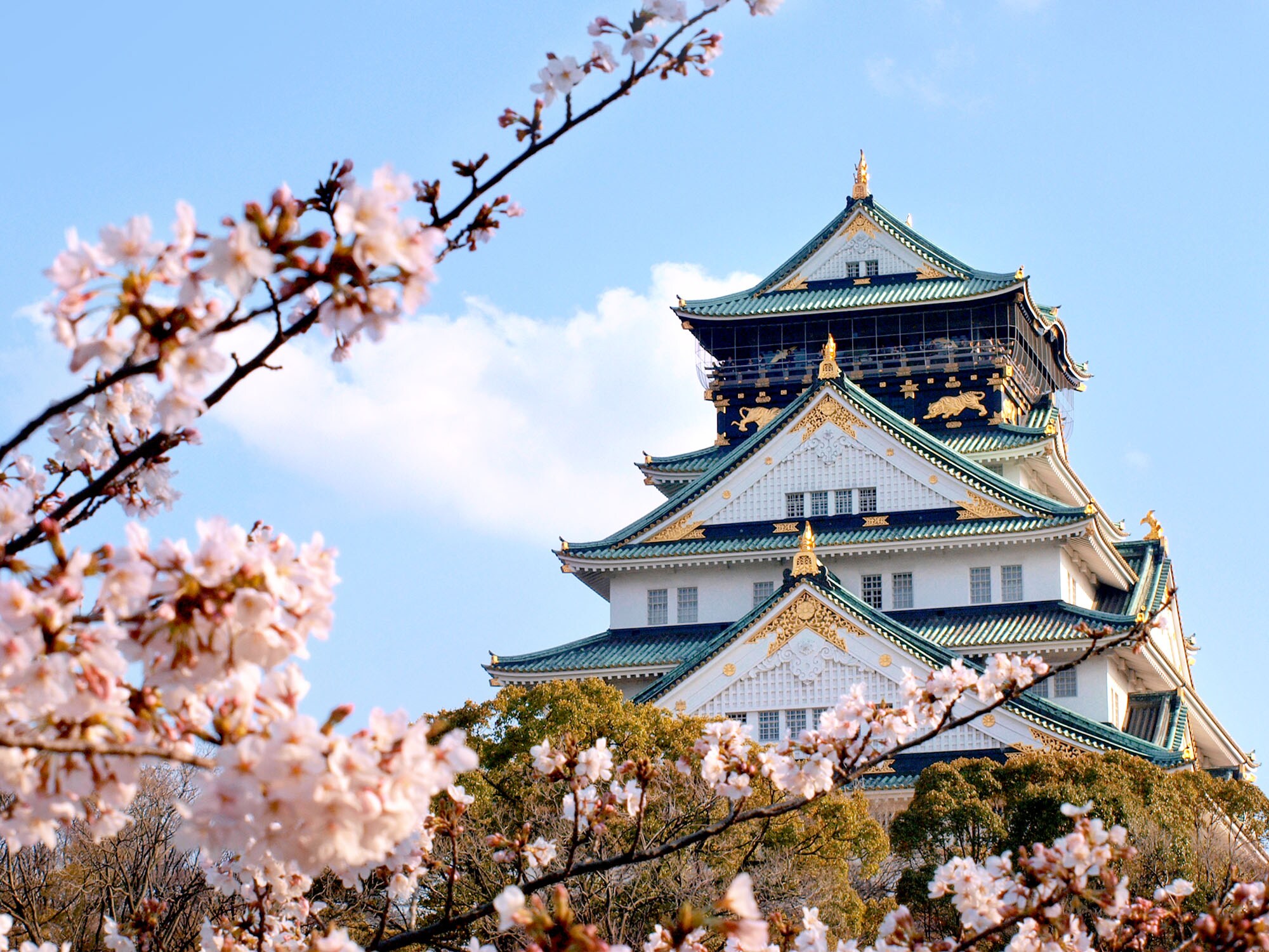 [Osaka Castle Park]