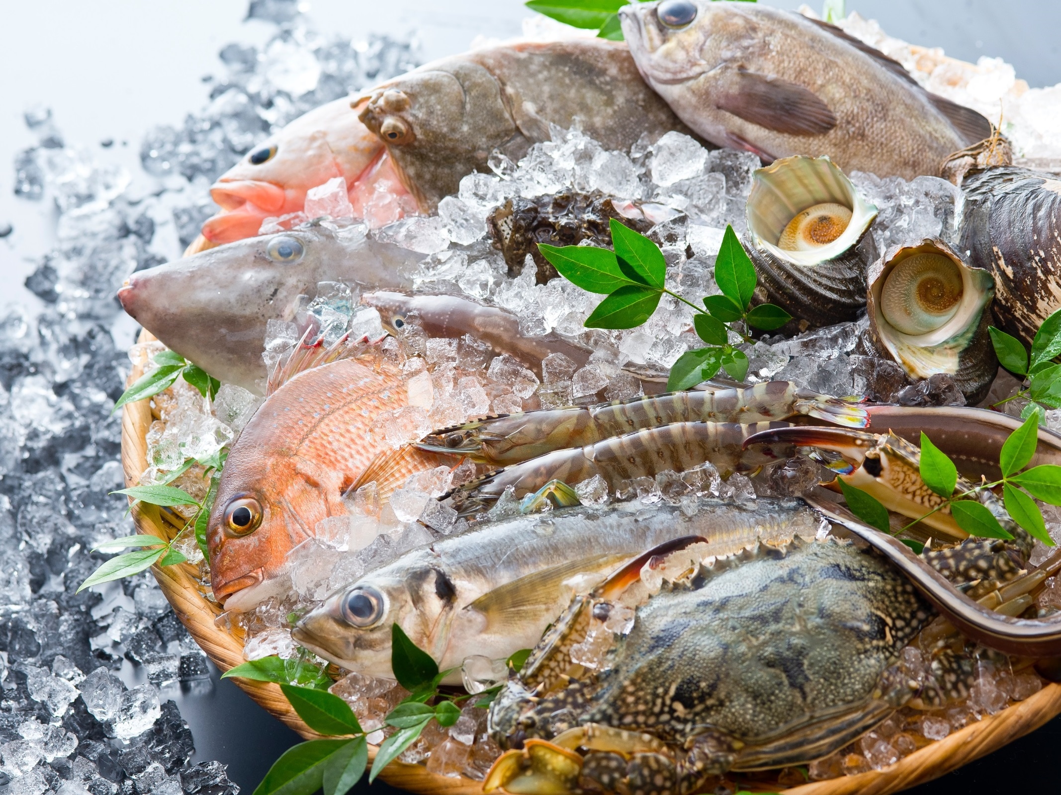 Fresh food from the Seto Inland Sea