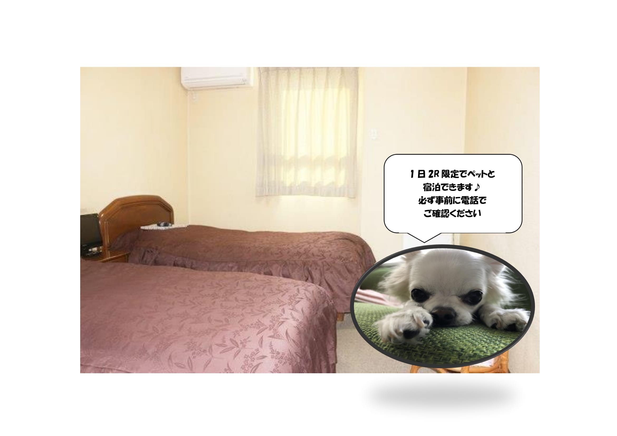 Pets can stay with you (up to 2)