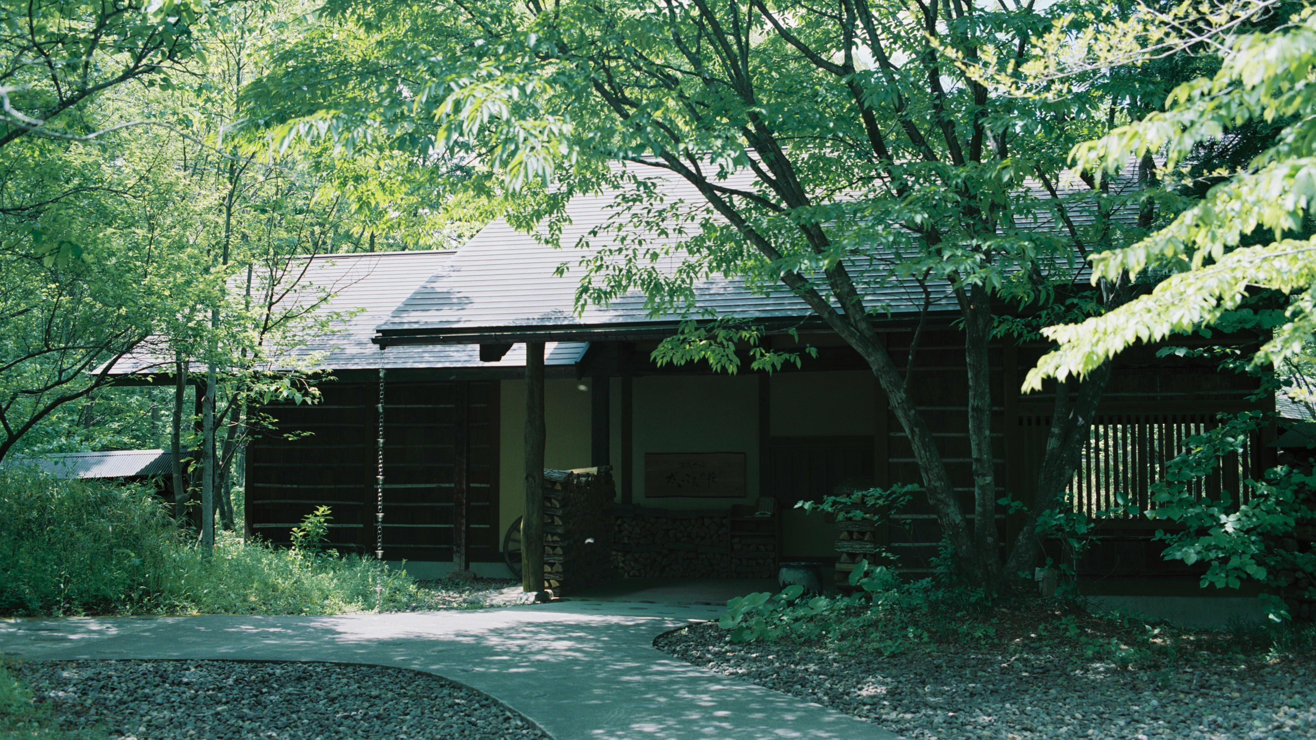 溫泉山莊蘿蔔花“東門”