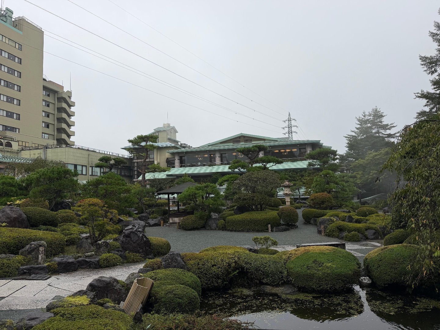 A8B41A26-C853-4F64-A92C-399291759F9A.jpeg