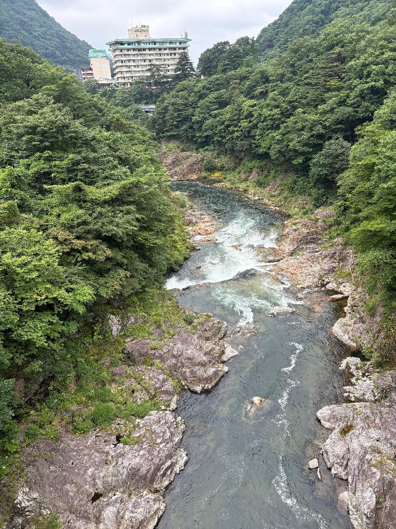 690293AA-28AD-4EA5-8A2B-E32B5E458CB3.jpeg