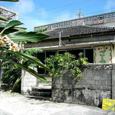 Appearance image