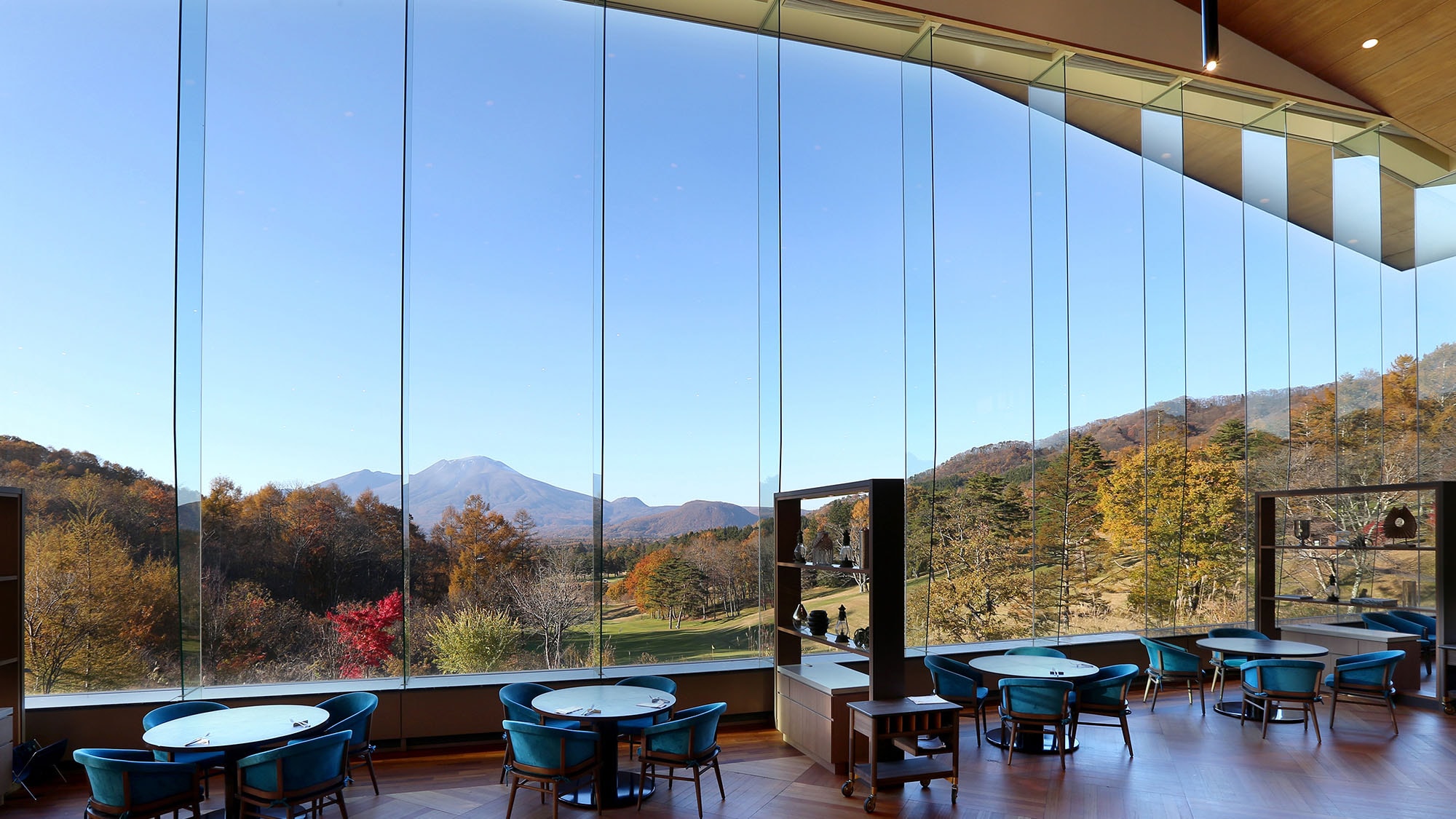 Dining Bloom (Autumn)
