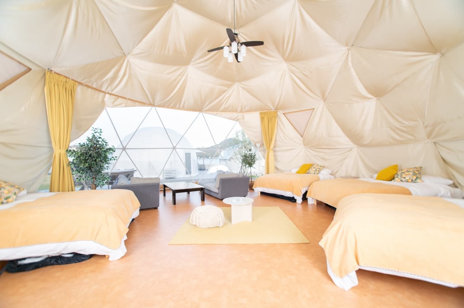 Citrus Dome