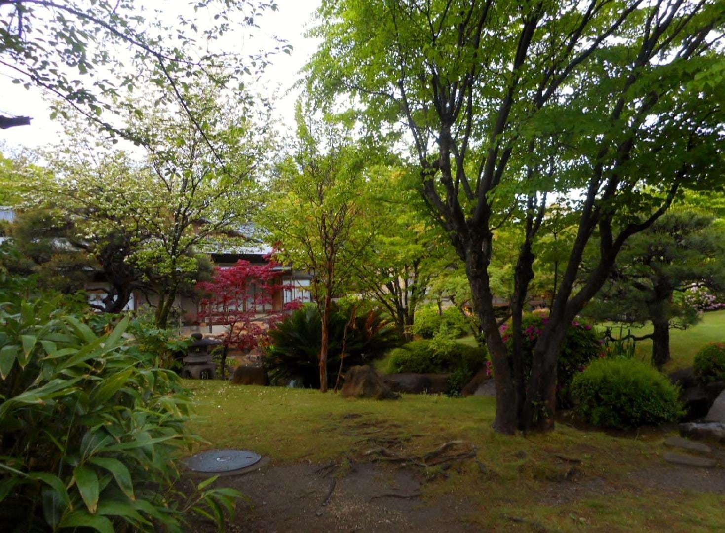 DSCN2187.JPG
