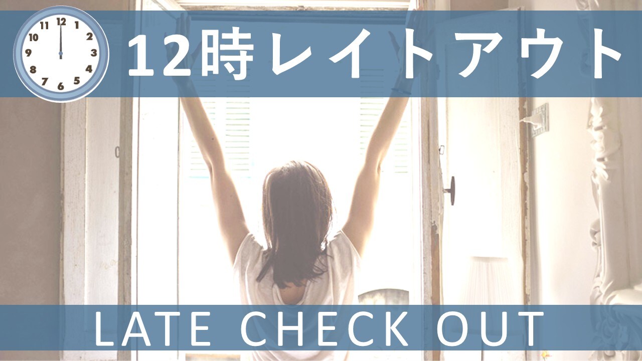 12:00 PM Checkout Plan
