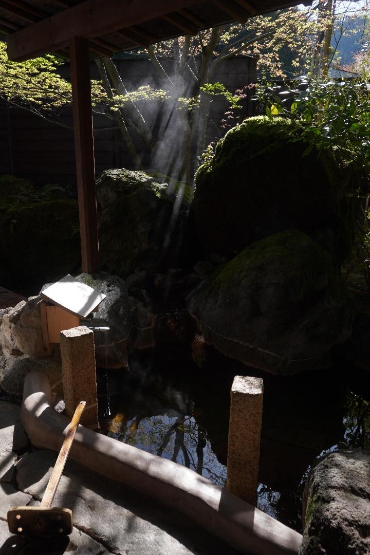 DSC02721.jpeg