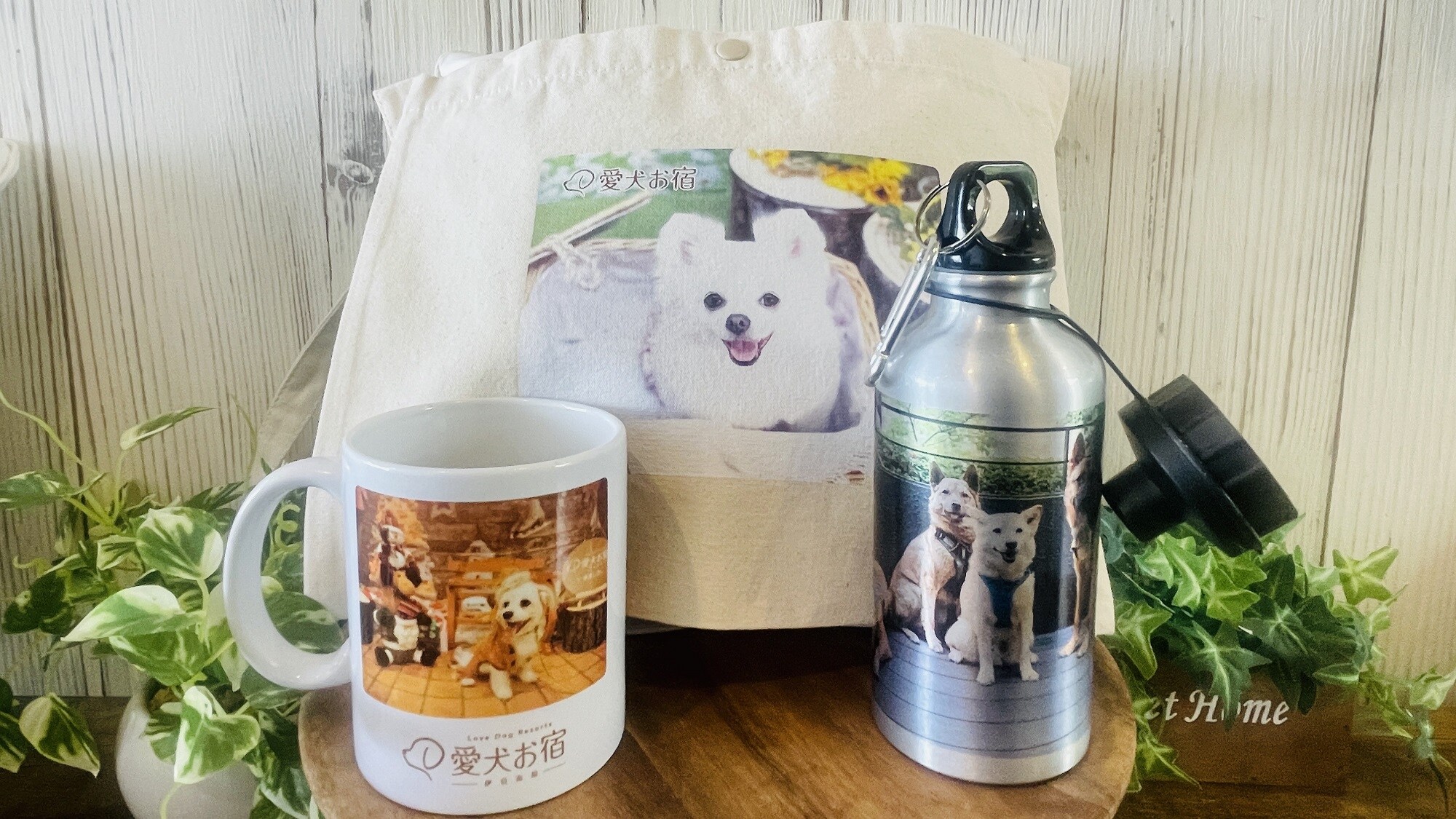 Barang asli eksklusif untuk rencana perayaan