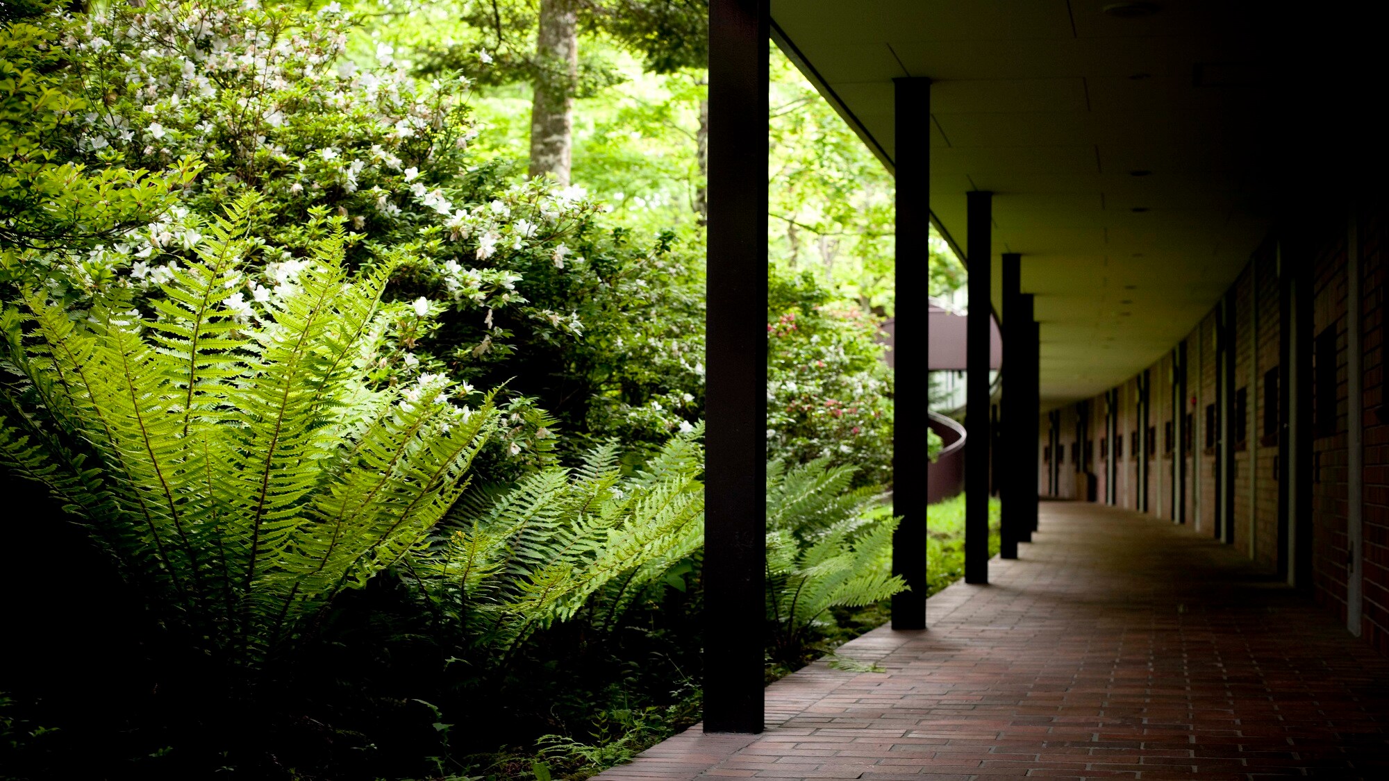 The Prince Karuizawa: A curved corridor lined with Garden Twin rooms