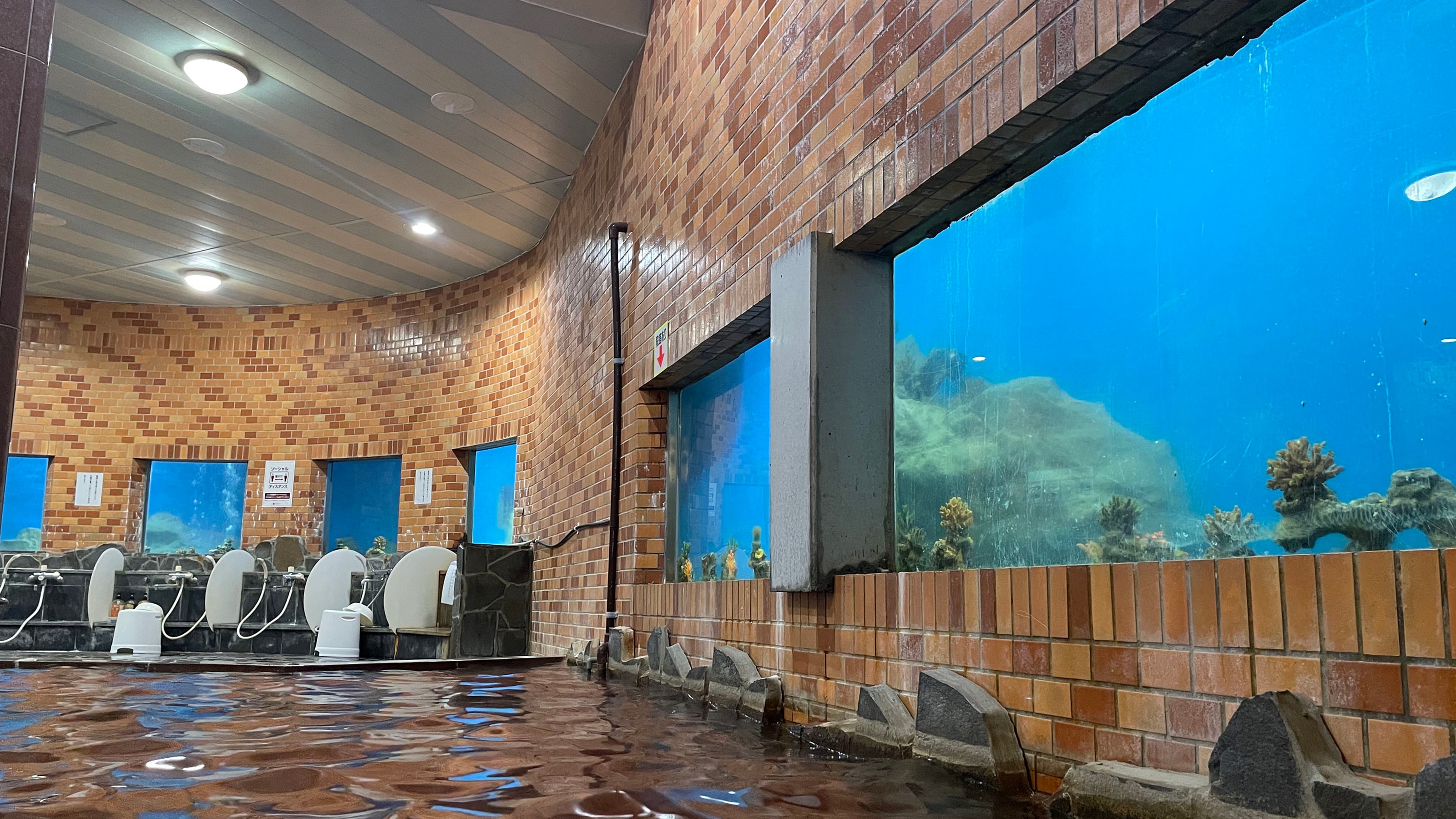 水族館浴