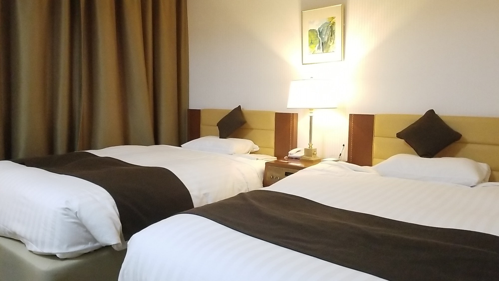 Deluxe Twin / 27 sqm & 2 120 cm wide beds