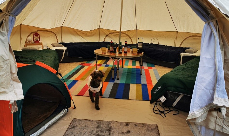 可攜帶寵物 Raku x Raku Camp Deluxe
