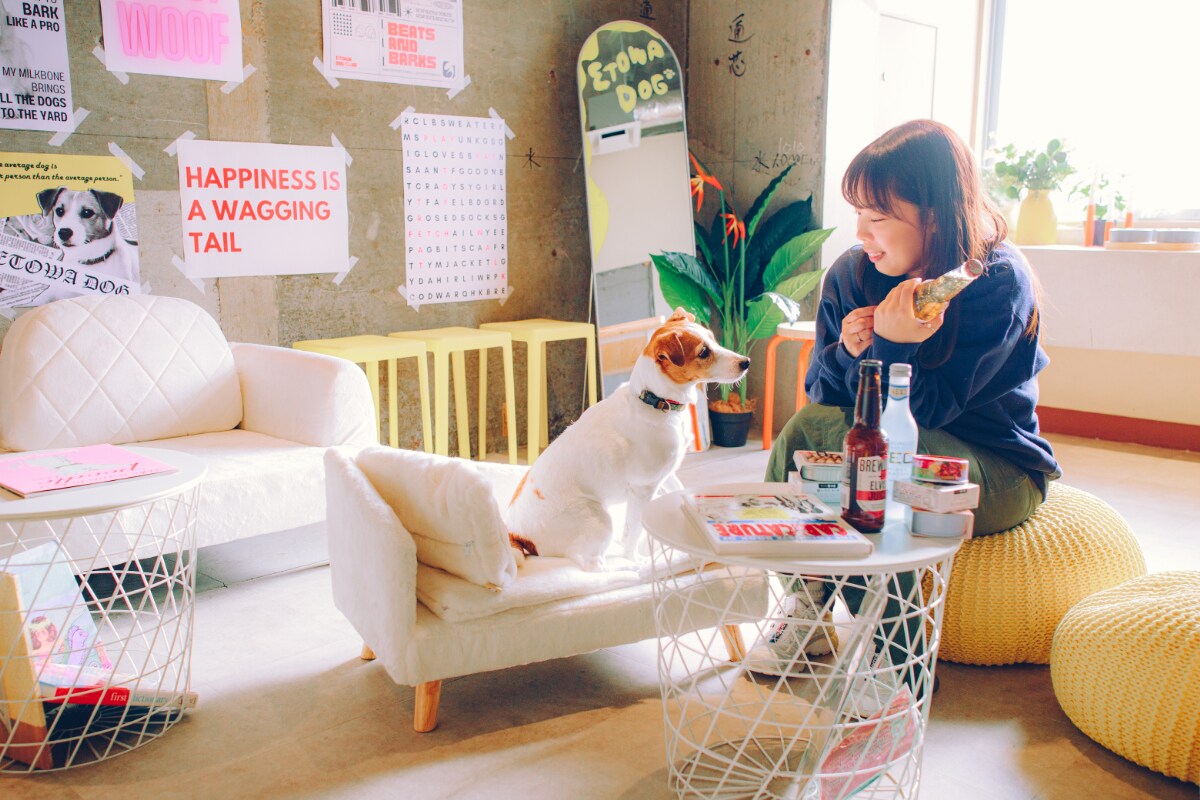 Dog Lounge
