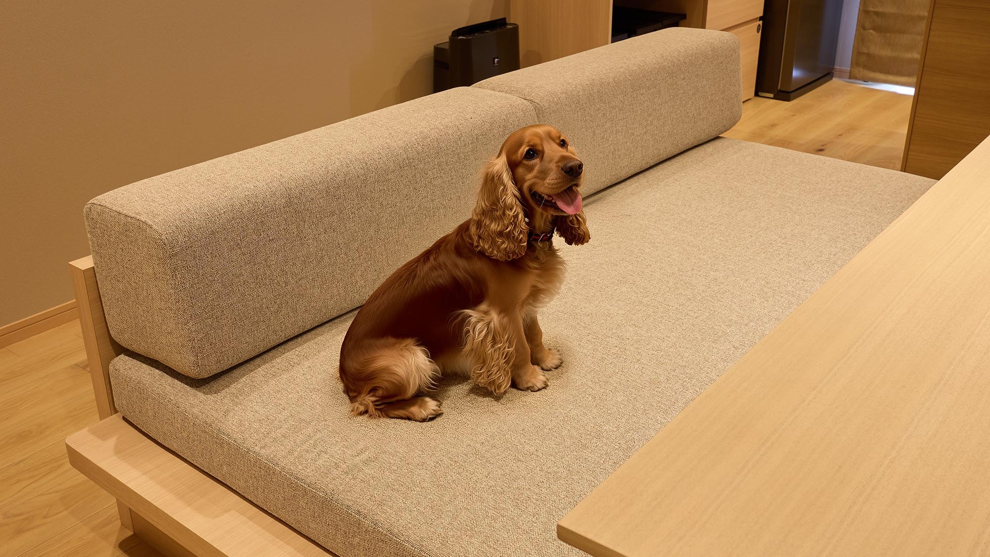 F_Dog type rooms allow pets.