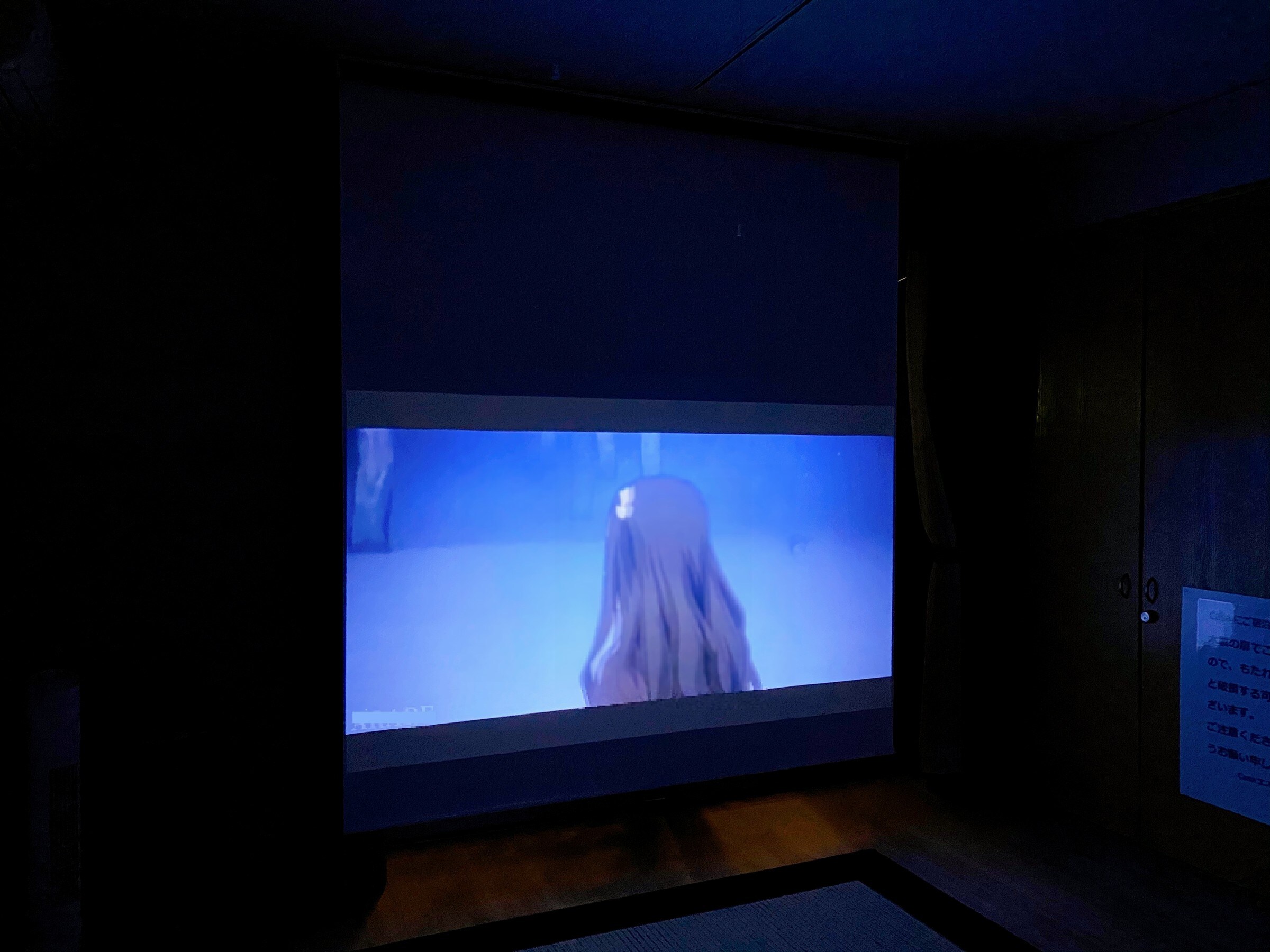 We've installed a projector! Enjoy the power of the big screen!