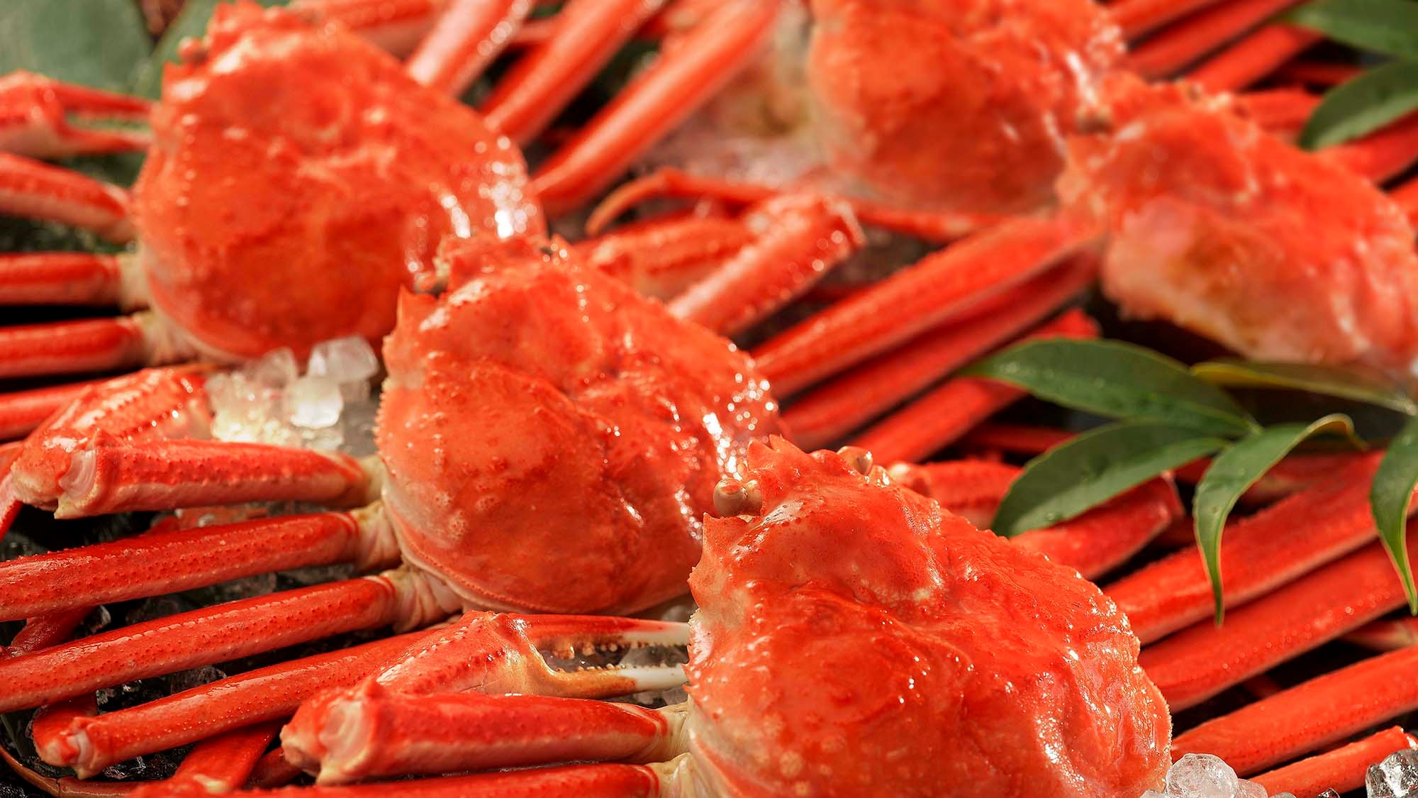 All-you-can-eat whole snow crab