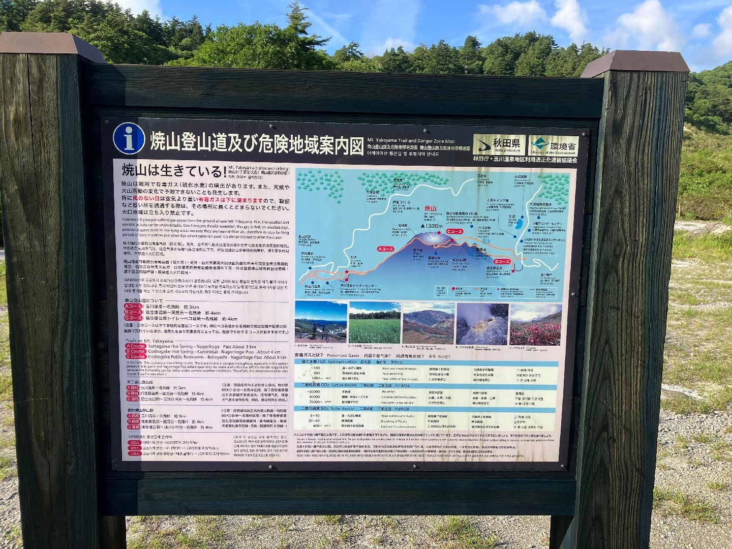 IMG_1985.jpeg