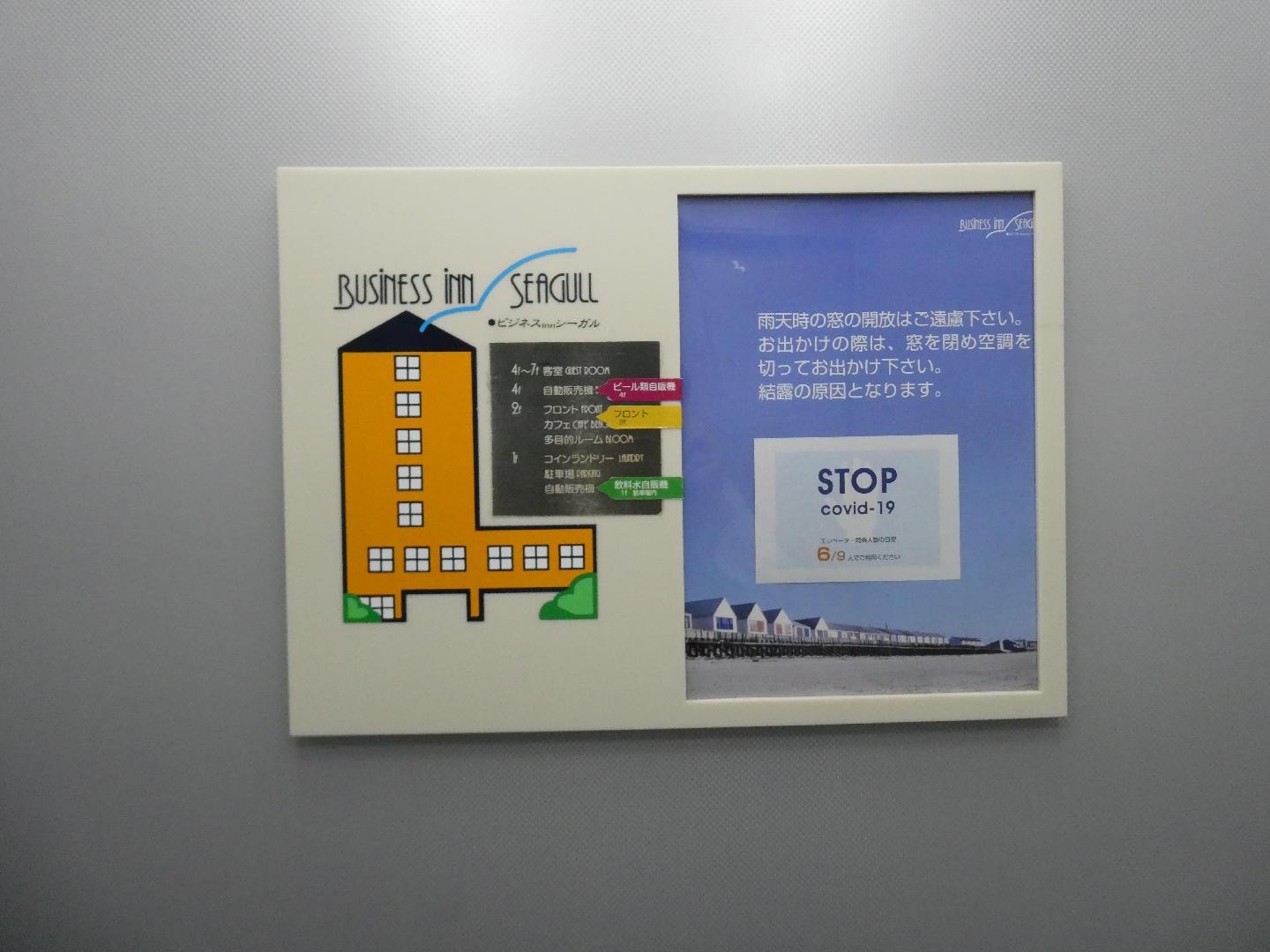 P1134460.JPG