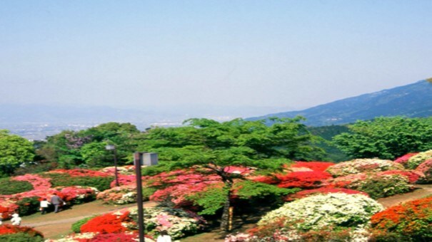 [Forest Tsutsuji Park] About 20 minutes by car from the hotel