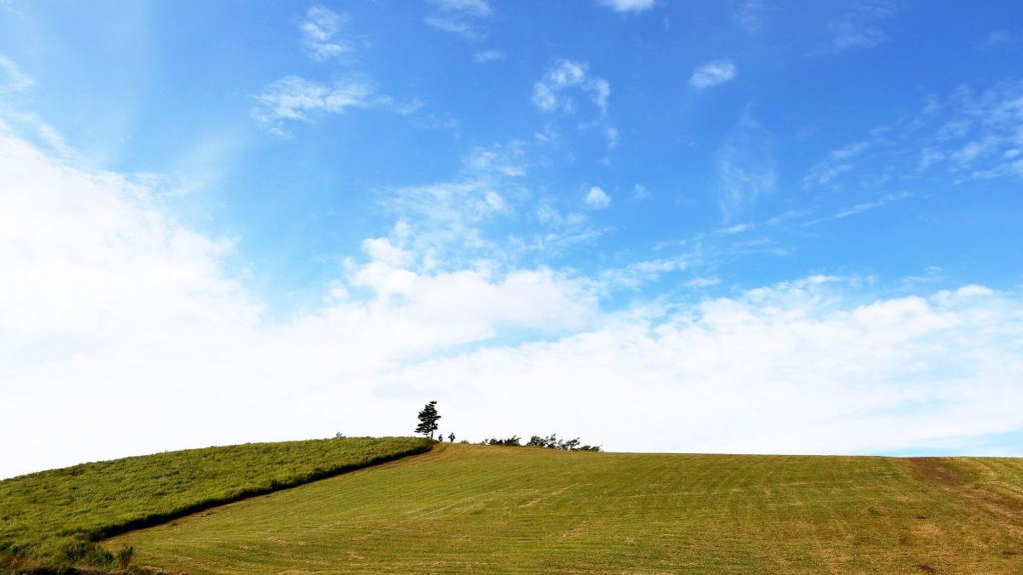 [Oshidoishi] Titik kekuatan yang direkomendasikan. Terletak di tengah-tengah antara Aso dan Oguni (Foto milik Federasi Pariwisata Kumamoto)